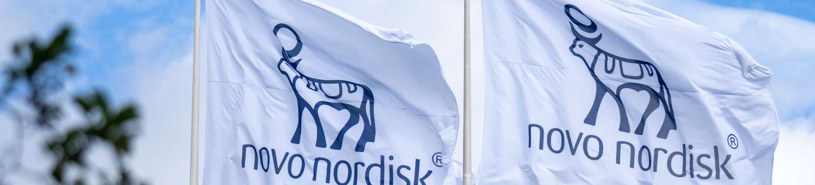 Aktie Novo Nordisk (NYSE: NVO)